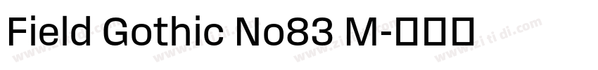 Field Gothic No83 M字体转换